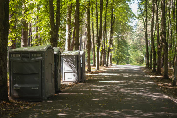 Best Sanitation services for porta potties  in South Charleston, OH